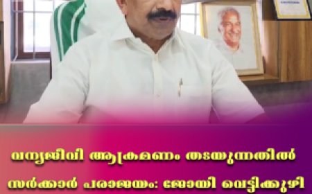 വന്യജീവി ആക്രമണം തടയുന്നതില്‍ സര്‍ക്കാര്‍ പരാജയം: ജോയി വെട്ടിക്കുഴി