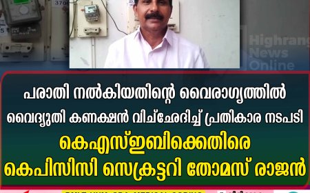 പരാതി നല്‍കിയതിന്റെ വൈരാഗ്യത്തില്‍ വൈദ്യുതി കണക്ഷന്‍ വിച്‌ഛേദിച്ച് പ്രതികാര നടപടി: കെഎസ്ഇബിക്കെതിരെ കെപിസിസി സെക്രട്ടറി തോമസ് രാജന്‍