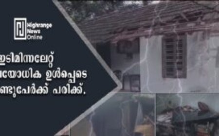 ഇടിമിന്നലേറ്റ് വയോധിക ഉൾപ്പെടെ രണ്ടുപേർക്ക് പരിക്ക്