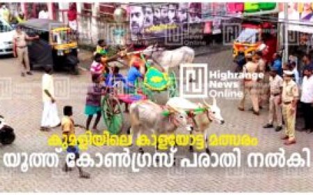 കുമളിയിലെ കാളയോട്ട മത്സരം:  യൂത്ത് കോണ്‍ഗ്രസ് പരാതി നല്‍കി