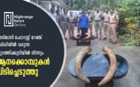 അടിമാലി ഫോറസ്റ്റ് റേഞ്ച് പരിധിയിൽ വരുന്ന കുറത്തിക്കുടിയിൽ നിന്നും ആനക്കൊമ്പുകൾ പിടിച്ചെടുത്തു