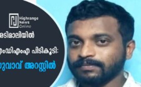 അടിമാലിയില്‍ എംഡിഎംഎ പിടികൂടി: യുവാവ് അറസ്റ്റില്‍