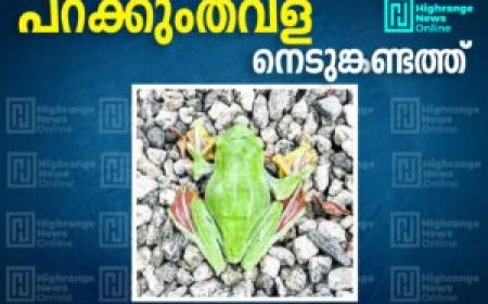 പറക്കുംതവള നെടുങ്കണ്ടത്ത്