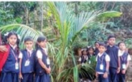 സെന്റ് മാത്യൂസ് എല്‍പി സ്‌കൂള്‍ ദുഃഖസാന്ദ്രം