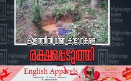 കുളത്തില്‍ വീണ കാട്ടാനകളെ രക്ഷപ്പെടുത്തി