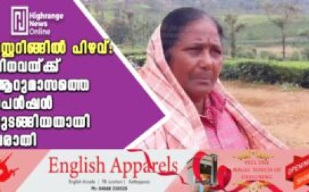 മസ്റ്ററിങ്ങില്‍ പിഴവ്: വിധവയ്ക്ക് ആറുമാസത്തെ പെന്‍ഷന്‍ മുടങ്ങിയതായി പരാതി