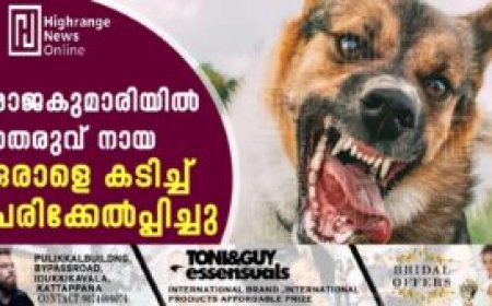 രാജകുമാരിയില്‍ തെരുവ് നായ ഒരാളെ കടിച്ച് പരിക്കേല്‍പ്പിച്ചു