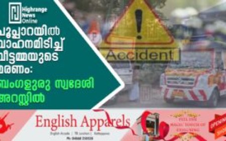 പൂപ്പാറയില്‍ വാഹനമിടിച്ച് വീട്ടമ്മയുടെ മരണം: ബംഗളുരു സ്വദേശി അറസ്റ്റില്‍