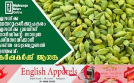 ഏലയ്ക്ക ഡ്രയറുകള്‍ക്കുപകരം ഏലയ്ക്ക ഡ്രയിങ് യാര്‍ഡിന്റെ സാധ്യത പരിശോധിക്കാന്‍ ഹരിത ട്രൈബ്യൂണല്‍ ഉത്തരവ്: കര്‍ഷകര്‍ക്ക് ആശങ്ക