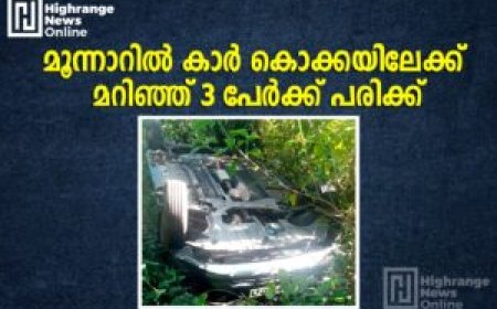 കാര്‍ കൊക്കയിലേക്ക് മറിഞ്ഞ് 3 പേര്‍ക്ക് പരിക്ക്