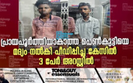 പ്രായപൂര്ത്തിയാകാത്ത പെണ്കുട്ടിയെ മദ്യം നല്കി പീഡിപ്പിച്ച കേസില് 3 പേര് അറസ്റ്റില്