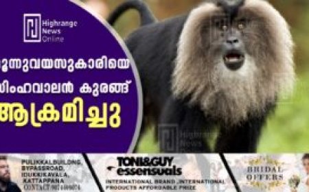 മൂന്നുവയസുകാരിയെ സിംഹവാലന്‍ കുരങ്ങ് ആക്രമിച്ചു