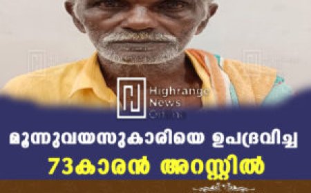 മൂന്നുവയസുകാരിയെ ഉപദ്രവിച്ച 73കാരന്‍ അറസ്റ്റില്‍