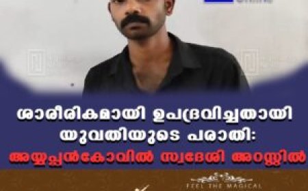 ശാരീരികമായി ഉപദ്രവിച്ചതായി യുവതിയുടെ പരാതി: അയ്യപ്പന്‍കോവില്‍ സ്വദേശി അറസ്റ്റില്‍
