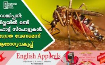 ഡെങ്കിപ്പനി: ജില്ലയില്‍ രണ്ട് ഹോട്ട് സ്പോട്ടുകള്‍: ജാഗ്രത വേണമെന്ന് ആരോഗ്യവകുപ്പ്