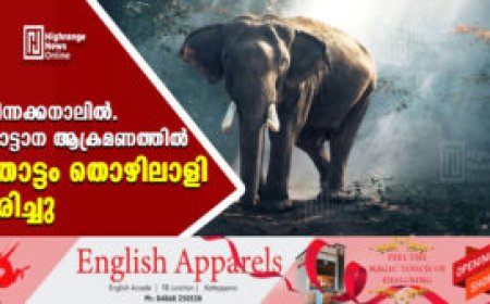 ചിന്നക്കനാലിൽ .കാട്ടാന ആക്രമണത്തിൽ തോട്ടം തൊഴിലാളി മരിച്ചു