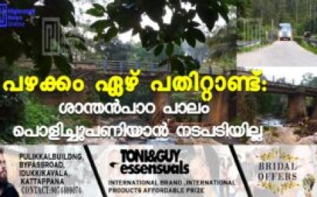 പഴക്കം ഏഴ് പതിറ്റാണ്ട്: ശാന്തന്പാറ പാലം പൊളിച്ചുപണിയാന് നടപടിയില്ല