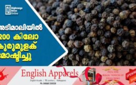 അടിമാലിയില്‍ 1200 കിലോ കുരുമുളക് മോഷ്ടിച്ചു