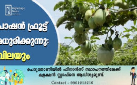 പാഷൻ ഫ്രൂട്ട് മധുരിക്കുന്നു: വിലയും