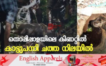 തൊപ്പിപ്പാളയിലെ കിണറ്റില് കാട്ടുപന്നി ചത്ത നിലയില്