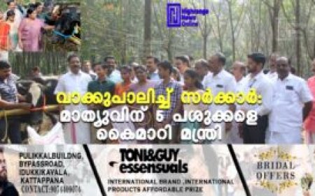 വാക്കുപാലിച്ച് സര്‍ക്കാര്‍: മാത്യുവിന് 5 പശുക്കളെ കൈമാറി മന്ത്രി