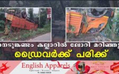 നെടുങ്കണ്ടം കല്ലാറില്‍ ലോറി മറിഞ്ഞു: ഡ്രൈവര്‍ക്ക് പരിക്ക്