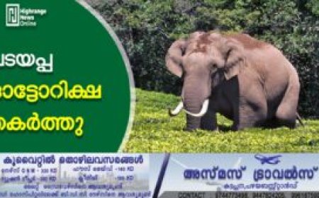 പടയപ്പ ഓട്ടോറിക്ഷ തകര്‍ത്തു