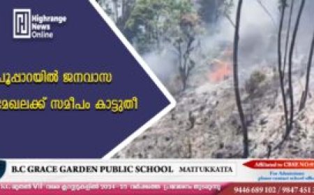 പൂപ്പാറയില്‍ ജനവാസ മേഖലക്ക് സമീപം കാട്ടുതീ