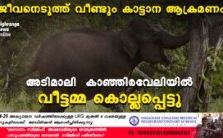 ജീവനെടുത്ത് വീണ്ടും കാട്ടാന ആക്രമണം: അടിമാലി കാഞ്ഞിരവേലിയിൽ  വീട്ടമ്മ കൊല്ലപ്പെട്ടു