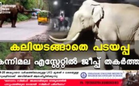 കലിയടങ്ങാതെ പടയപ്പ: കന്നിമല എസ്റ്റേറ്റില്‍ ജീപ്പ് തകര്‍ത്തു