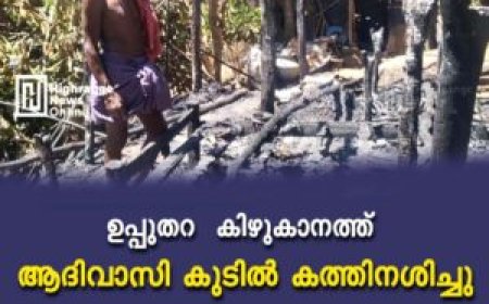 ഉപ്പുതറ കിഴുകാനത്ത് ആദിവാസി കുടിൽ കത്തിനശിച്ചു