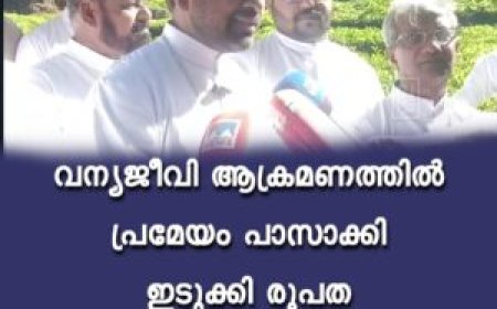 വന്യജീവി ആക്രമണത്തില്‍ പ്രമേയം പാസാക്കി ഇടുക്കി രൂപത