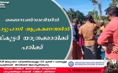 ബൈസണ്‍വാലിയില്‍ കാട്ടുപന്നി ആക്രമണത്തില്‍ സ്‌കൂട്ടര്‍ യാത്രക്കാരിക്ക് പരിക്ക്