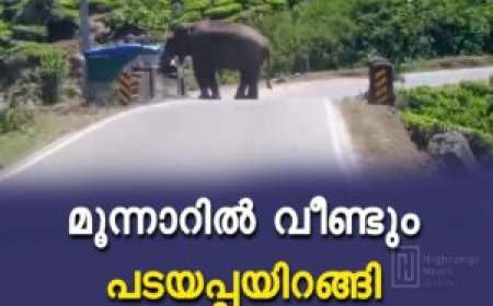 മൂന്നാറില്‍ വീണ്ടും പടയപ്പയിറങ്ങി