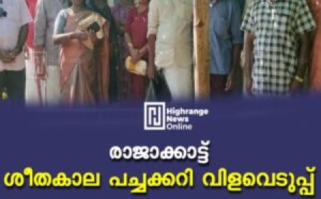 രാജാക്കാട്ട് ശീതകാല പച്ചക്കറി വിളവെടുപ്പ്