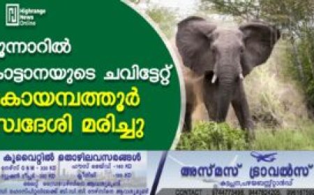 മൂന്നാറില്‍ കാട്ടാനയുടെ ചവിട്ടേറ്റ് കോയമ്പത്തൂര്‍ സ്വദേശി മരിച്ചു