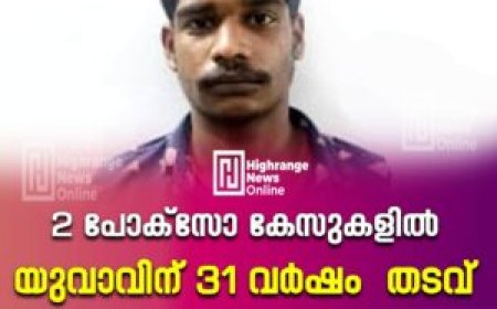2 പോക്സോ കേസുകളില്‍ യുവാവ് 31 വര്‍ഷം തടവ്