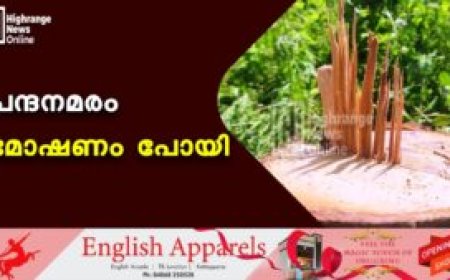 ചന്ദനമരം മോഷണം പോയി