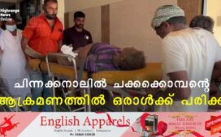ചിന്നക്കനാലില്‍ ചക്കക്കൊമ്പന്റെ ആക്രമണത്തില്‍ ഒരാള്‍ക്ക് പരിക്ക്