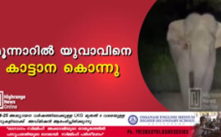 മൂന്നാറിൽ യുവാവിനെ കാട്ടാന കൊന്നു