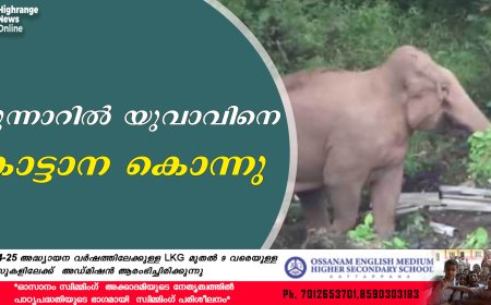 മുന്നാറില് യുവാവിനെ കാട്ടാന കൊന്നു