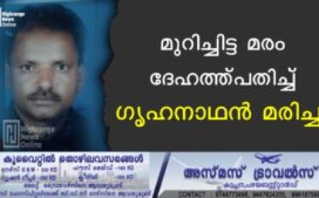മുറിച്ചിട്ട മരം ദേഹത്ത് പതിച്ച് ഗൃഹനാഥന്‍ മരിച്ചു
