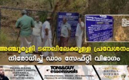 അഞ്ചുരുളി ടണലിലേക്കുള്ള പ്രവേശനം നിരോധിച്ച് ഡാം സേഫ്റ്റി വിഭാഗം