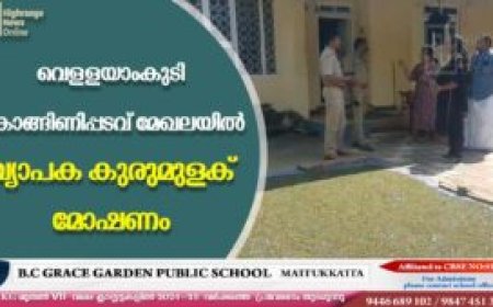 വെള്ളയാംകുടി കൊങ്ങിണിപ്പടവ് മേഖലയില്‍ വ്യാപക കുരുമുളക് മോഷണം