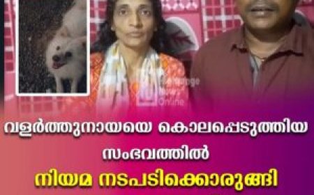 വളര്‍ത്തുനായയെ കൊലപ്പെടുത്തിയ സംഭവത്തില്‍ നിയമ നടപടിക്കൊരുങ്ങി മൃഗ സംരക്ഷണ വിഭാഗം