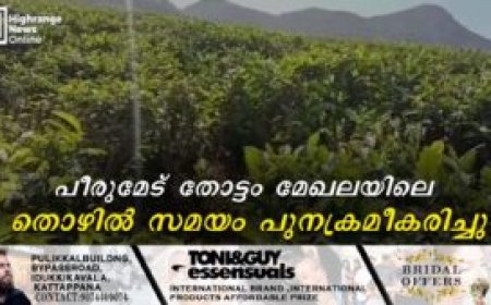 പീരുമേട് തോട്ടം മേഖലയിലെ തൊഴില്‍ സമയം പുനക്രമീകരിച്ചു