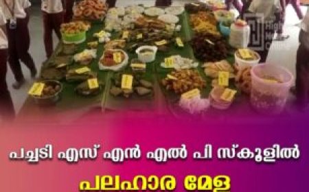 പച്ചടി എസ് എന്‍ എല്‍ പി സ്‌കൂളില്‍ പലഹാര മേള