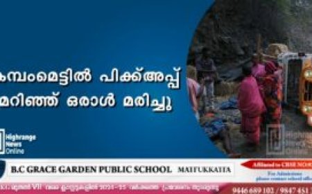 കമ്പംമെട്ടില്‍ പിക്ക്അപ്പ് മറിഞ്ഞ് ഒരാള്‍ മരിച്ചു