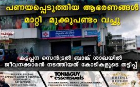 പണയപ്പെടുത്തിയ ആഭരണങ്ങള്‍ മാറ്റി മുക്കുപണ്ടം വച്ചു: കട്ടപ്പന സെന്‍ട്രല്‍ ബാങ്ക് ശാഖയില്‍ ജീവനക്കാരന്‍ നടത്തിയത് കോടികളുടെ തട്ടിപ്പ്