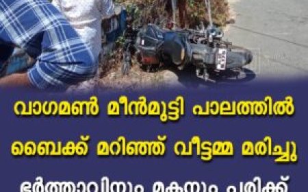 വാഗമണ്‍ മീന്‍മുട്ടി പാലത്തില്‍ ബൈക്ക് മറിഞ്ഞ് വീട്ടമ്മ മരിച്ചു: ഭര്‍ത്താവിനും മകനും പരിക്ക്